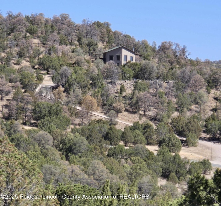 124 Paseo de Aguayo unit 3, Alto, NM 88312 - photo 1