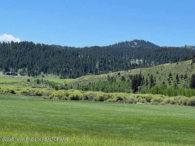 Spring Creek-Big Ridge