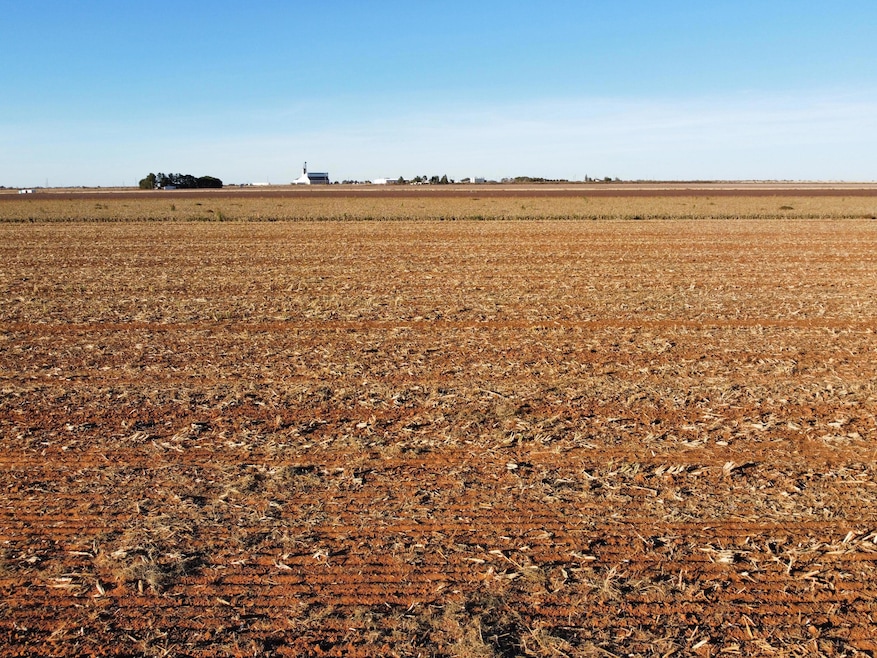 6655 Tiger Rd, Ropesville, TX 79358 - photo 1