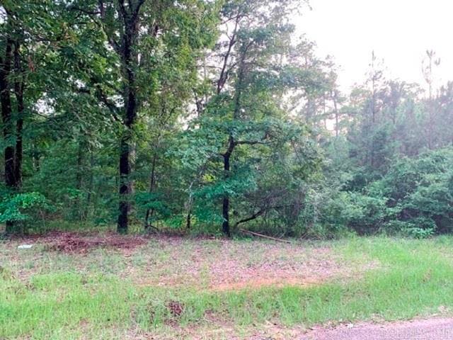 6.33 acres Ridgeview & Laticana, Camden, AR 71701 - photo 1