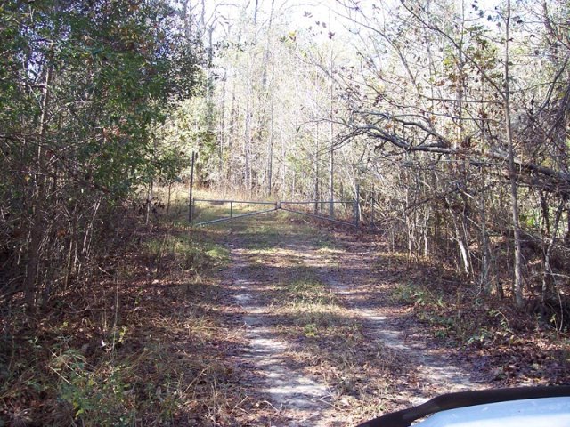 Main View