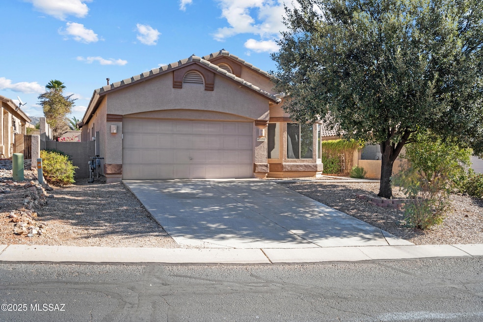 3_60591 e black crest loop-39