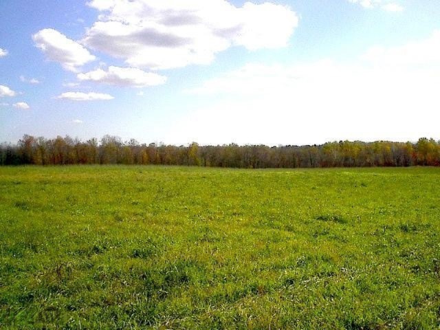 From Road