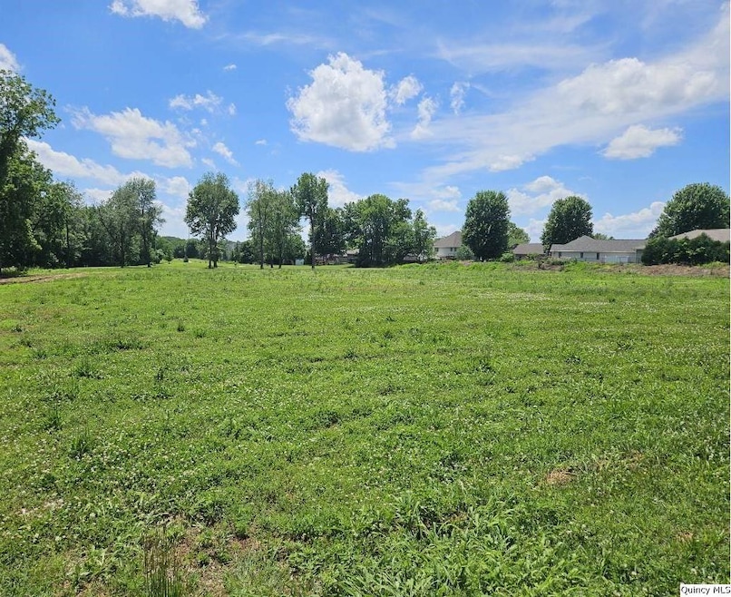 1700 Kochs Ln, Quincy, IL 62305 - photo 1