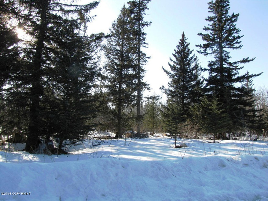 L8 B1 Laduquesa Ln, Anchor Point, AK 99556 - photo 1