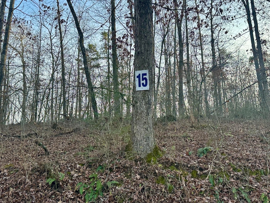 Lot 15 Hensley Rd, East Bernstadt, KY 40729 - photo 1