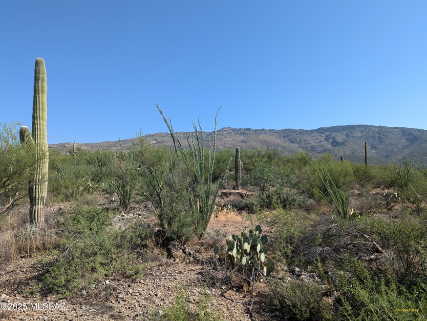 Land with View