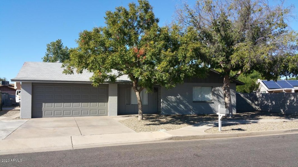 Javelina Front