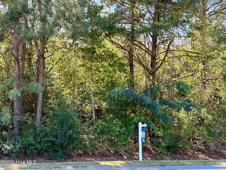 0 N Carolina 102, Ayden, NC 28513 - photo 1