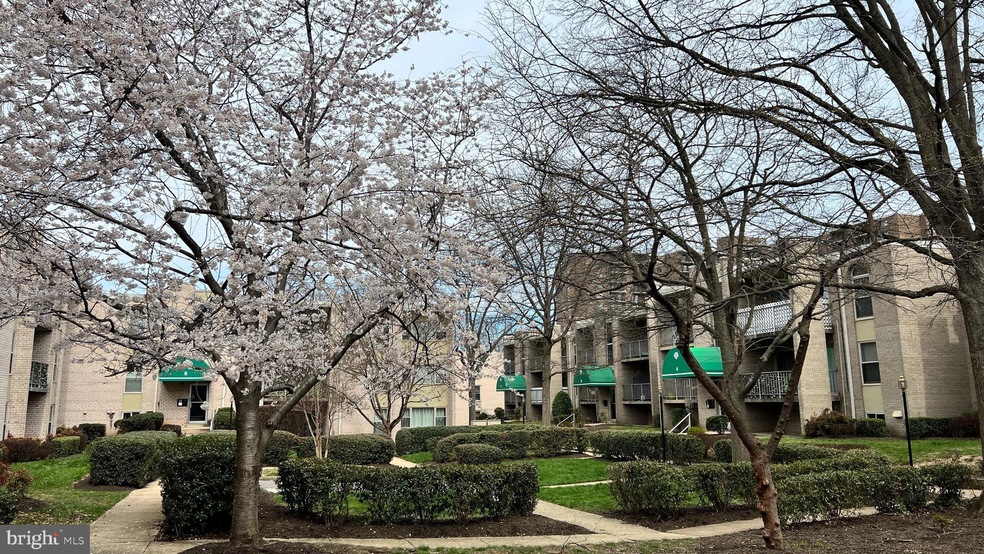 15 Canterbury Square unit 201, Alexandria, VA 22304 - photo 1