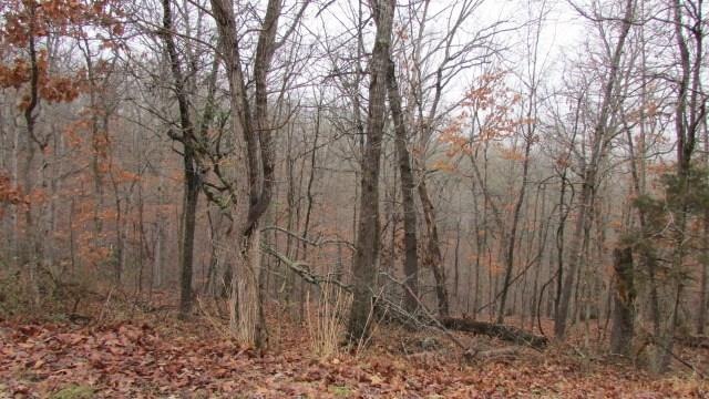 0 Wigston Ln, Bella Vista, AR 72714 - photo 1