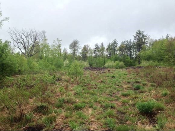 0 Loverin Hill Rd unit 4236958, Salisbury, NH 03268 - photo 1