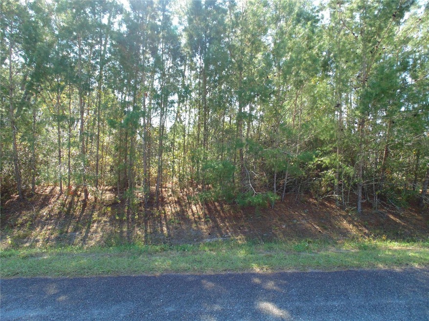 0 SW 112 Place unit MFROM713502, Ocala, FL 34476 - photo 1