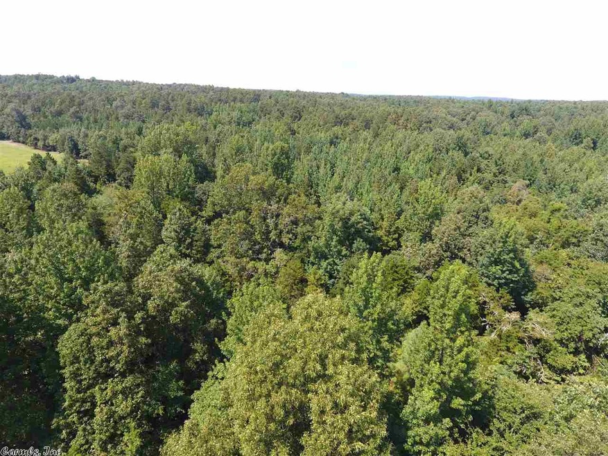 0 Purnell, Bono, AR 72416 - photo 1