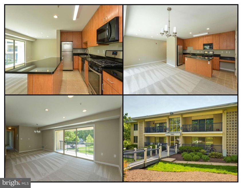 1002 Primrose Rd, Annapolis, MD 21403 - photo 1