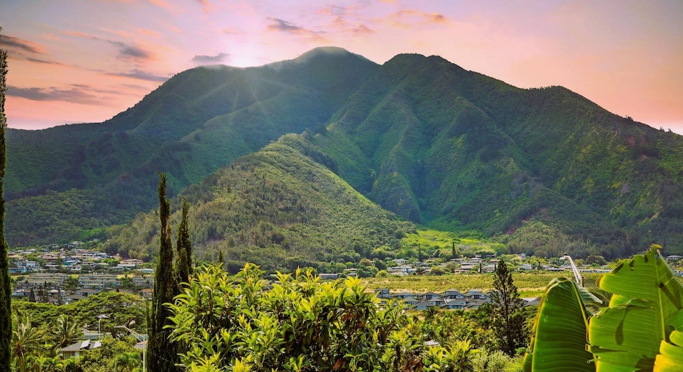663 Meakanu Ln unit 701, Wailuku, HI 96793 - photo 1