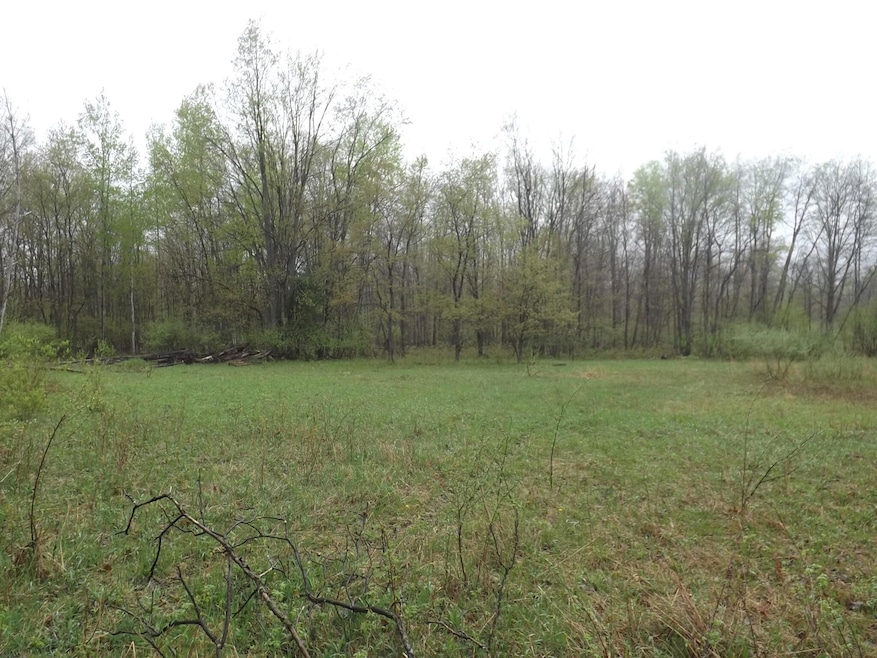 Possible building site