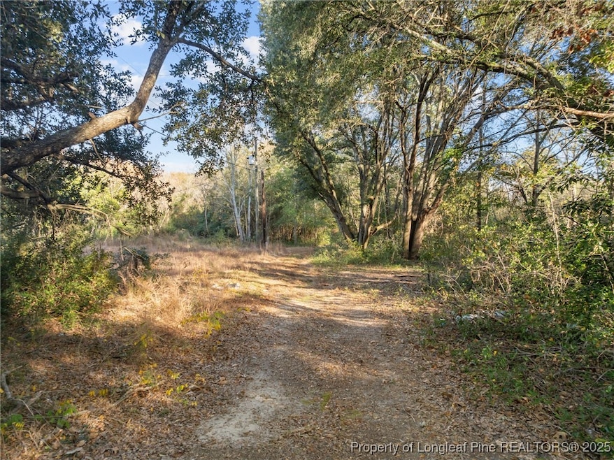 0 Doby Dr unit 753821, Raeford, NC 28376 - photo 1