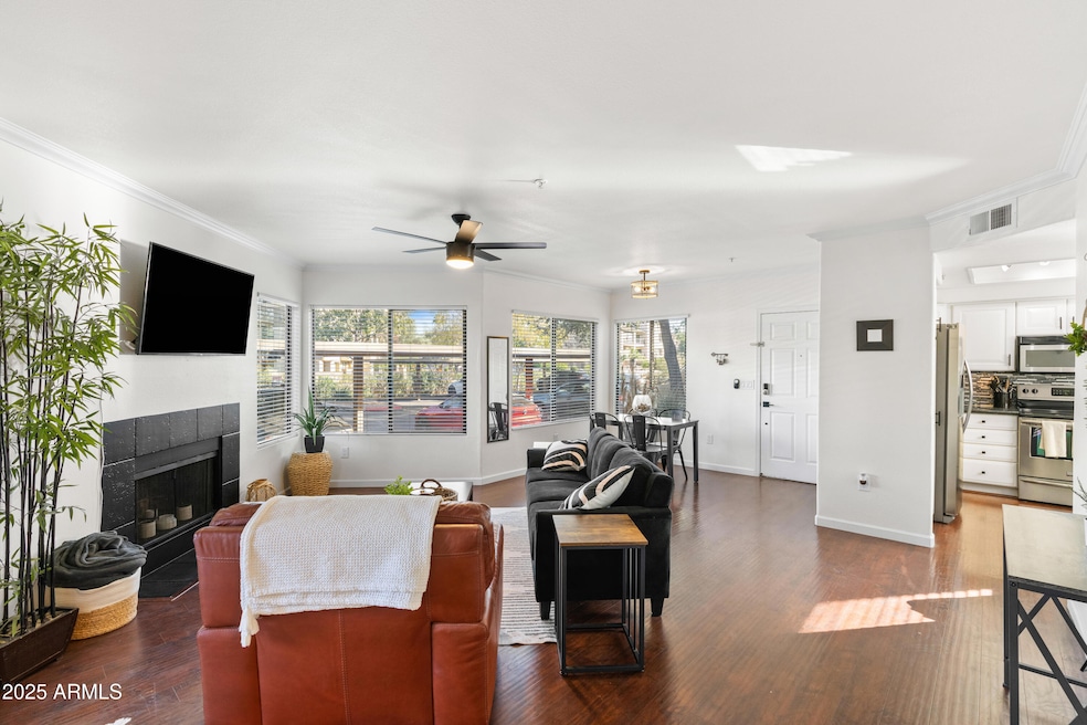 Morning Sunlight bathes the living space