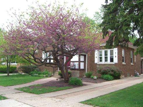 1623 Newcastle Ave, Westchester, IL 60154 - photo 1