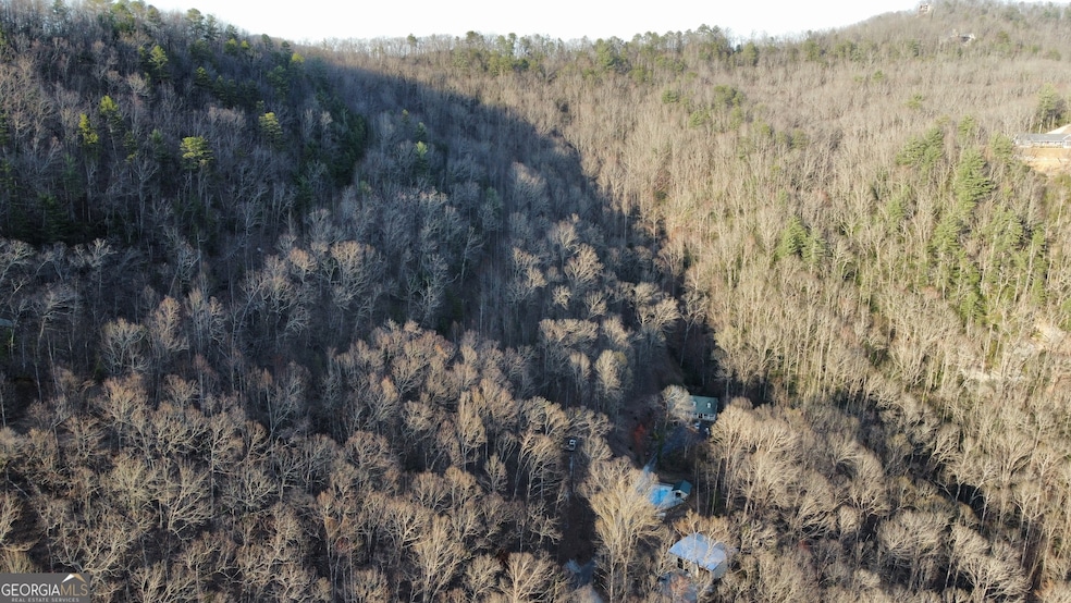 Drone View