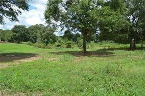 31227 Choctaw Hills Dr, Franklinton, LA 70438 - photo 1