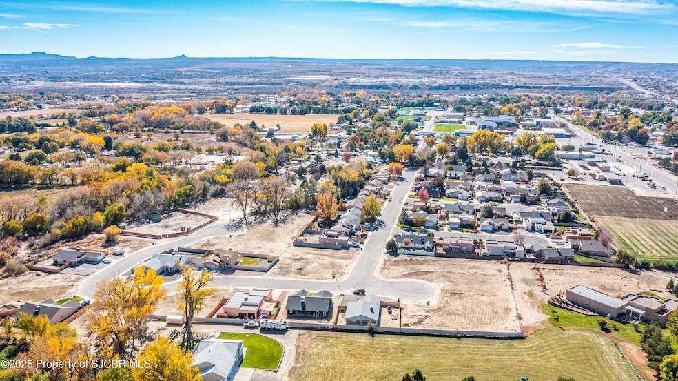 DJI_0202