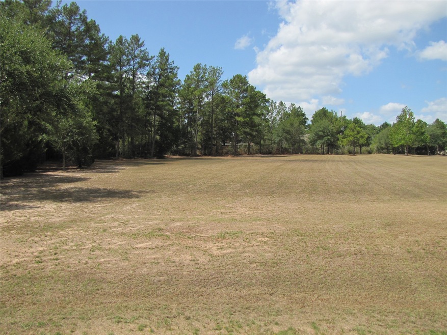 29213 Village Oaks Ct, Magnolia, TX 77355 - photo 1