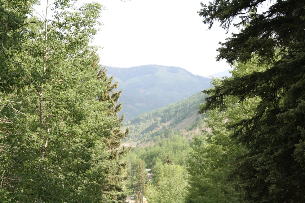 0 S Silver St unit 13-14 43499, Rico, CO 81332 - photo 1