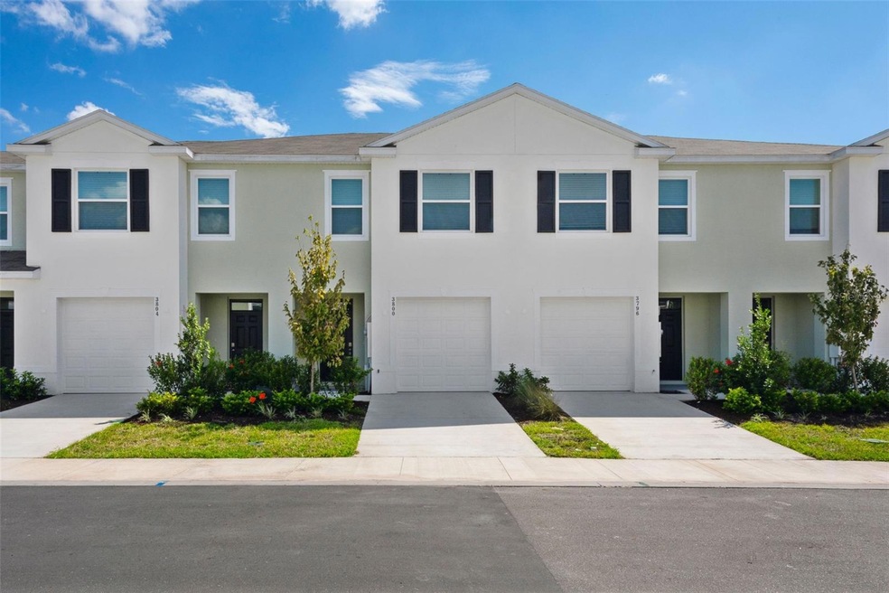 3800 Copper Beech Dr, Land O' Lakes, FL 34638 - photo 1