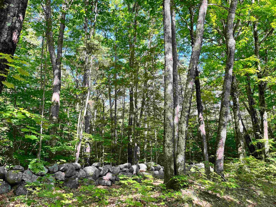 0 Gerrish Rd unit 43-4-3 4917218, Webster, NH 03303 - photo 1