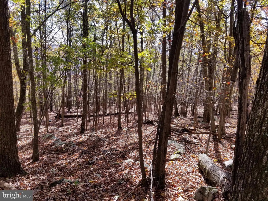 0 Roberts Ln unit 1004071929, Great Cacapon, WV 25422 - photo 1