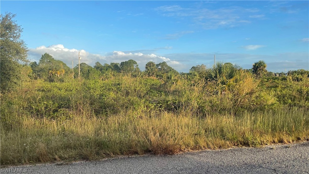 1249 Blaine Ave, Lehigh Acres, FL 33913 - photo 1