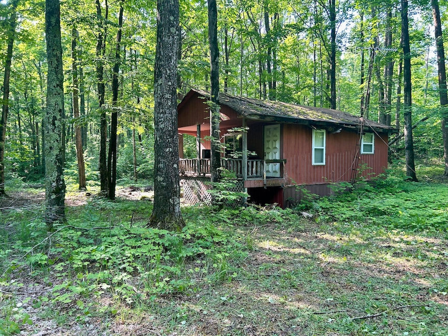 24x20 Cabin with portch