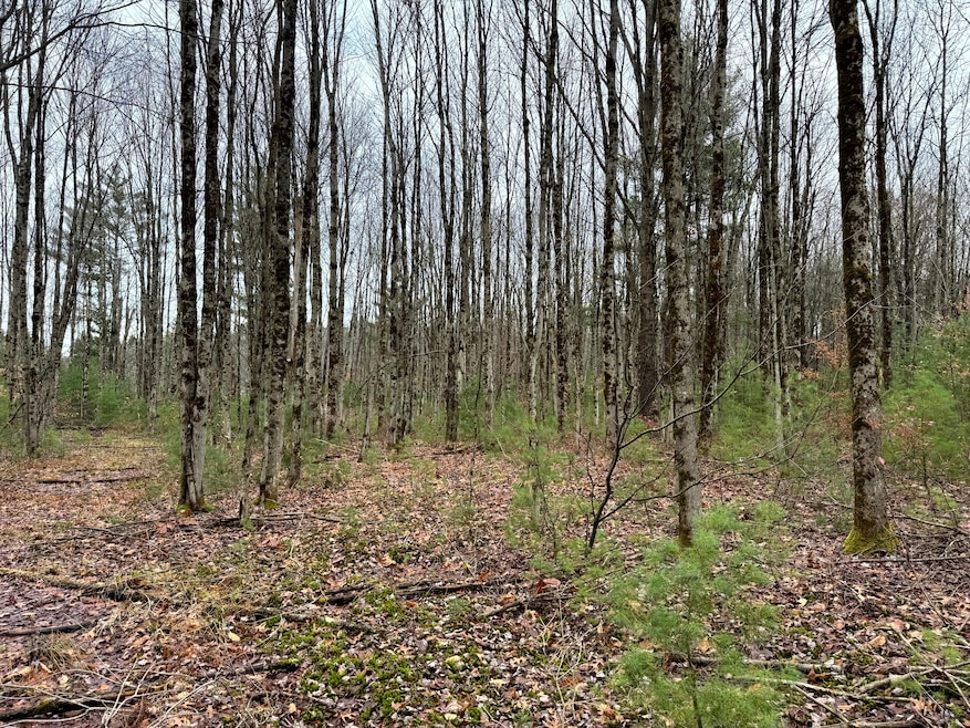 0 Preston Hill Rd, Camden, NY 13316 - photo 1