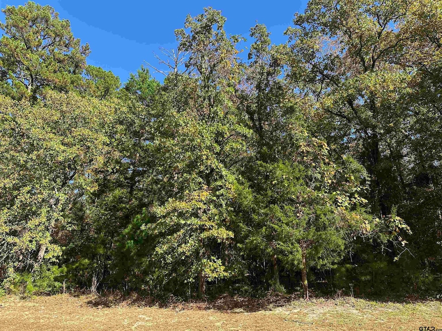 8714 Wilder Trail, Tyler, TX 75703 - photo 1