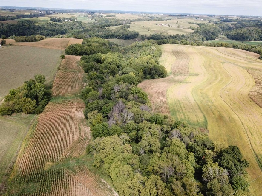 +/-25 Acres Bee Ln, Lancaster, WI 53813 - photo 1