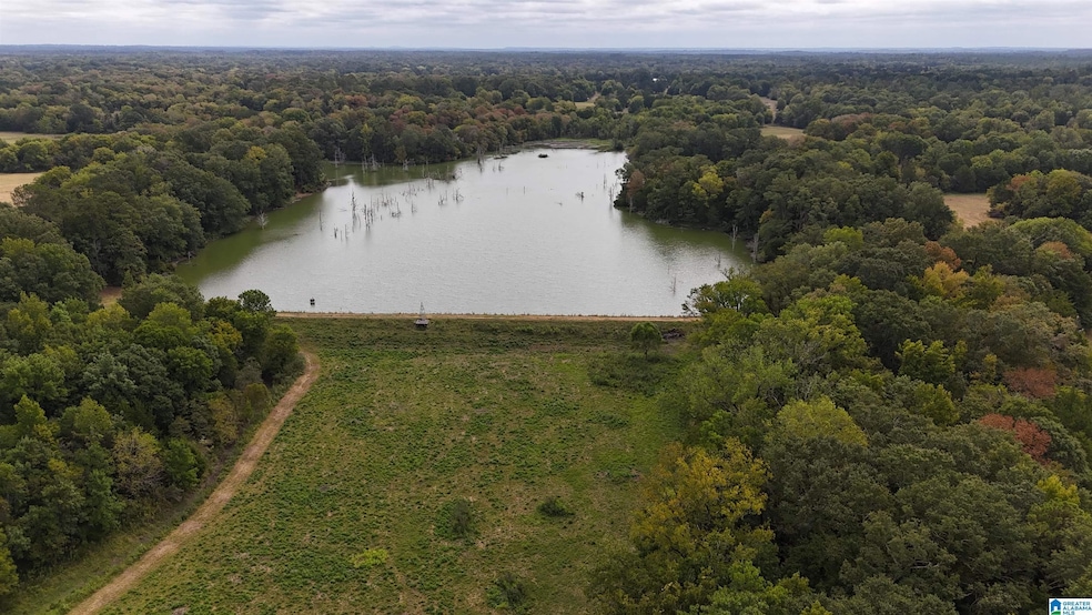 6040 Alabama 28, Snow Hill, AL 36768 - photo 1