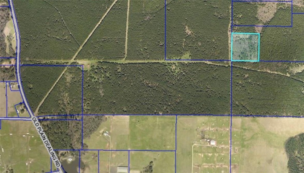 0 Old Plain Dealing Hwy, Benton, LA 71006 - photo 1