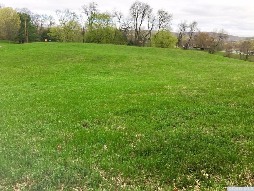 0 Maple Ln unit 119430, Ancramdale, NY 12503 - photo 1