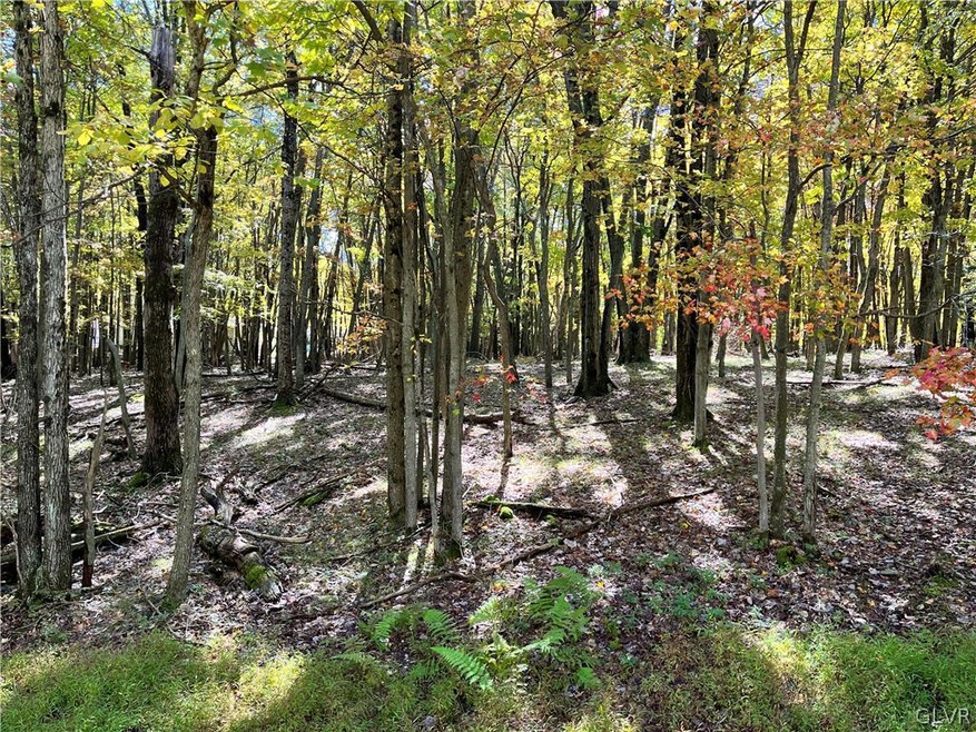 0 Brier Crest Rd unit 702664, Blakeslee, PA 18610 - photo 1