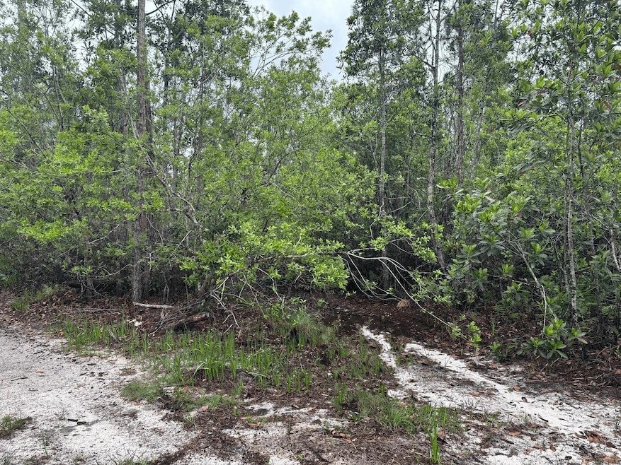 0 Holopaw Groves Rd unit F10536895, Saint Cloud, FL 34772 - photo 1