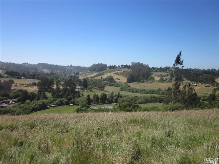 3001 Bloomfield Rd, Sebastopol, CA 95472 - photo 1