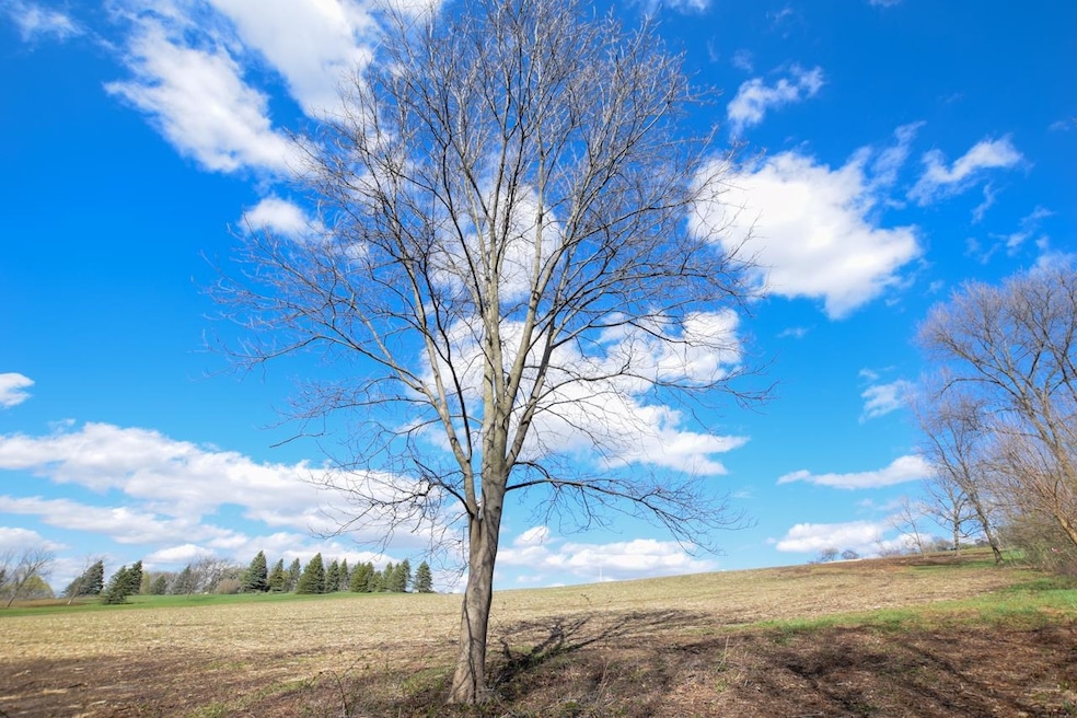 Lot 2 Monroe Sylvester Rd, Monroe, WI 53566 - photo 1