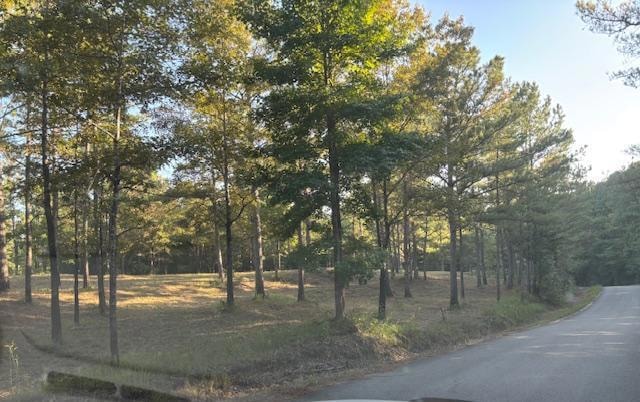 88 Cr 32, Dennis, MS 38838 - photo 1