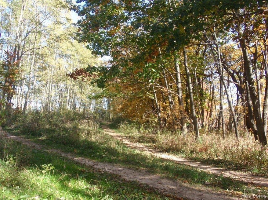 LehringRd.4