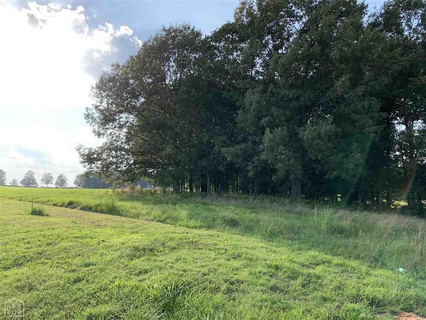 3735 County Road 751, Jonesboro, AR 72401 - photo 1