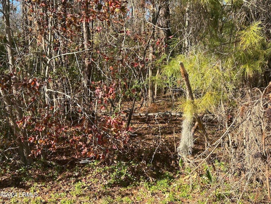 IMG_20241220_140108