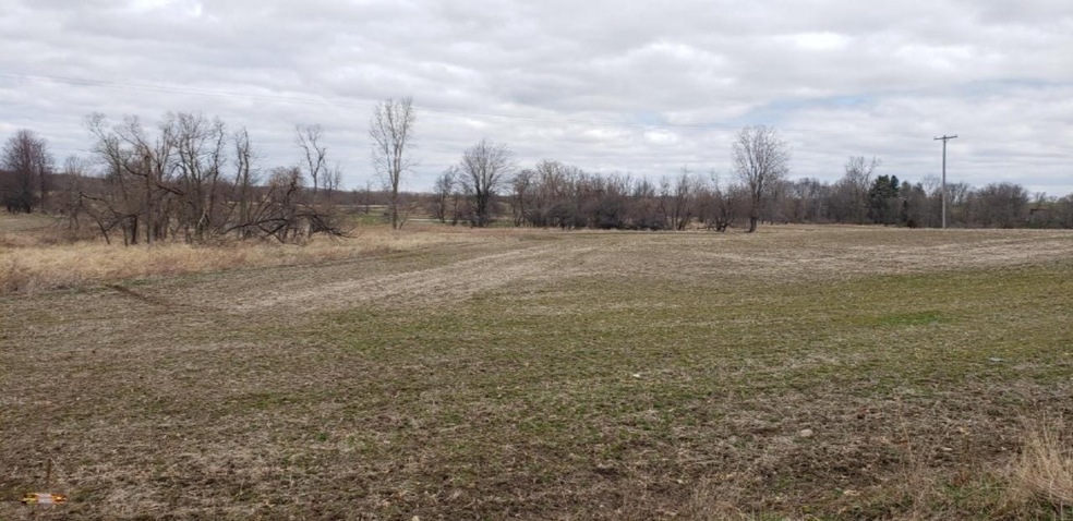 Parcel A Jefferson Rd, Ionia, MI 48846 - photo 1