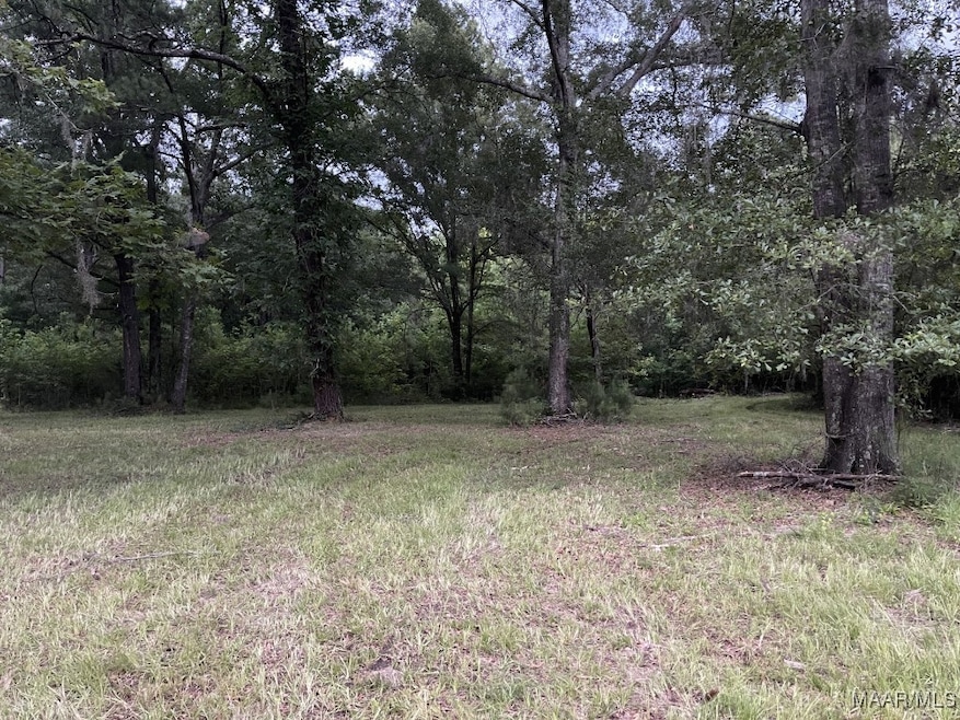 4936 Virginia Loop Road (Country in the City)